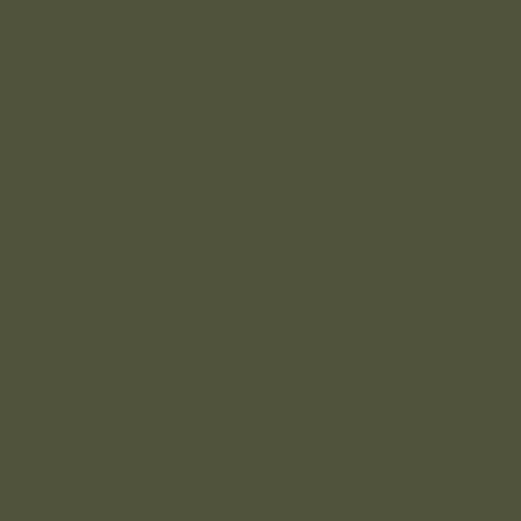 RAL 6003 Olive Green Custom Mixed Aerosol