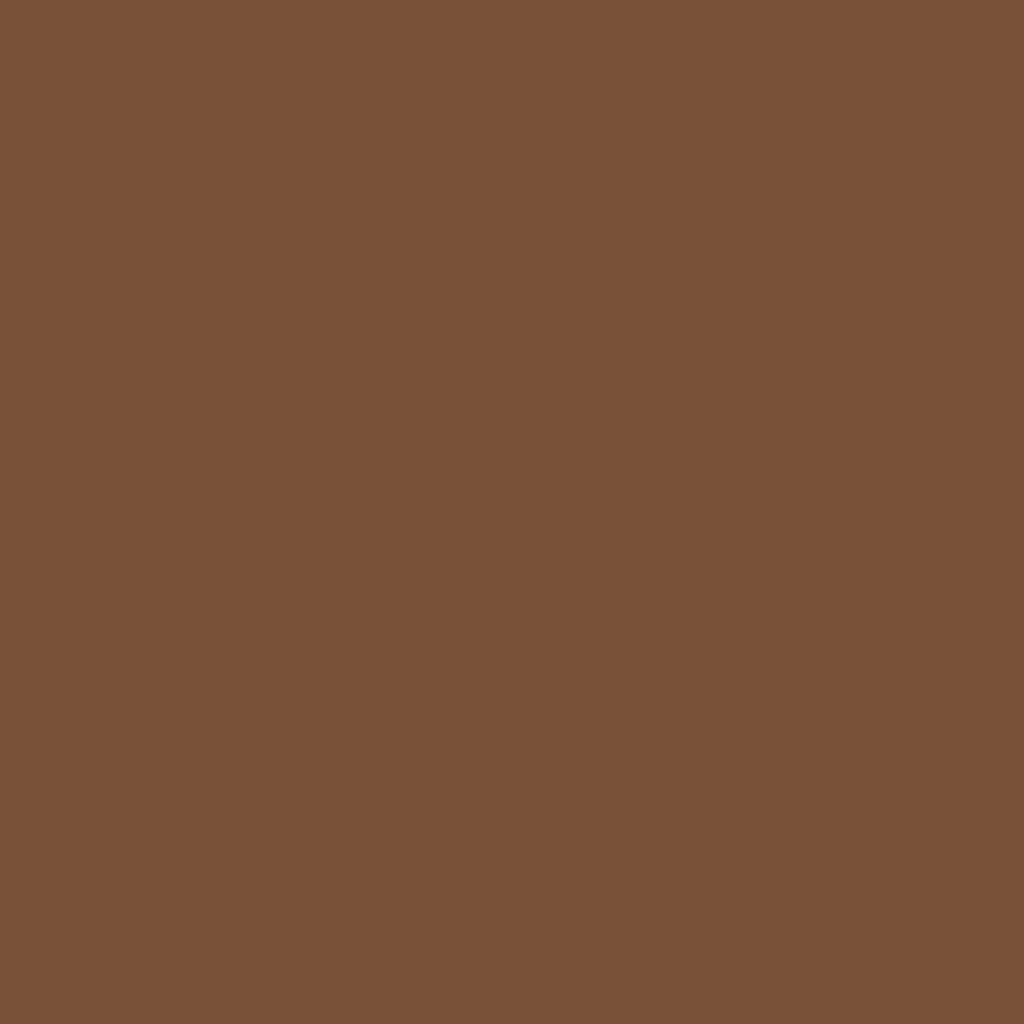 RAL 8024 Beige Brown Custom Mixed Aerosol