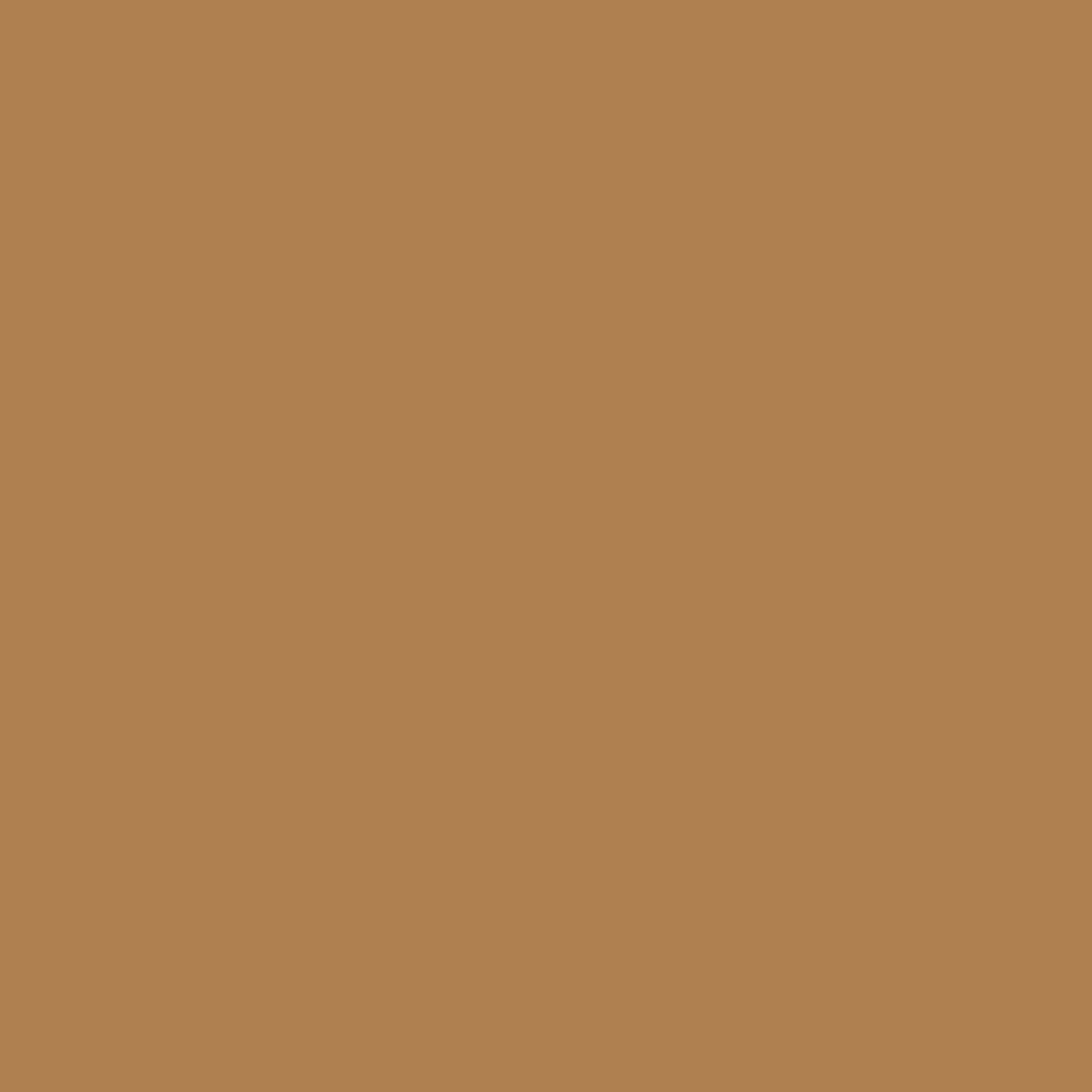 RAL 1011 Brown Beige Custom Mixed Aerosol